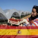 العقود الموسمية في إسبانيا: كل ما يجب معرفته