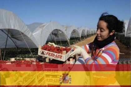 العقود الموسمية في إسبانيا: كل ما يجب معرفته