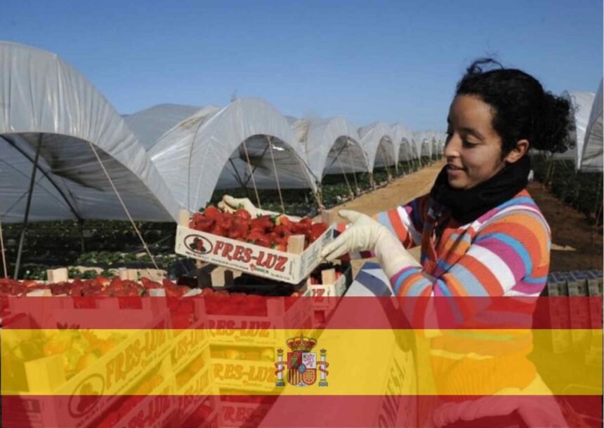 العقود الموسمية في إسبانيا: كل ما يجب معرفته